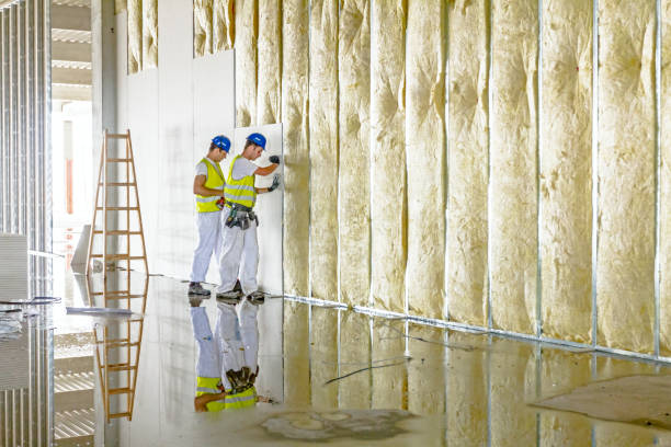 Best DIY Insulation Kits and Guidance in Newark, DE